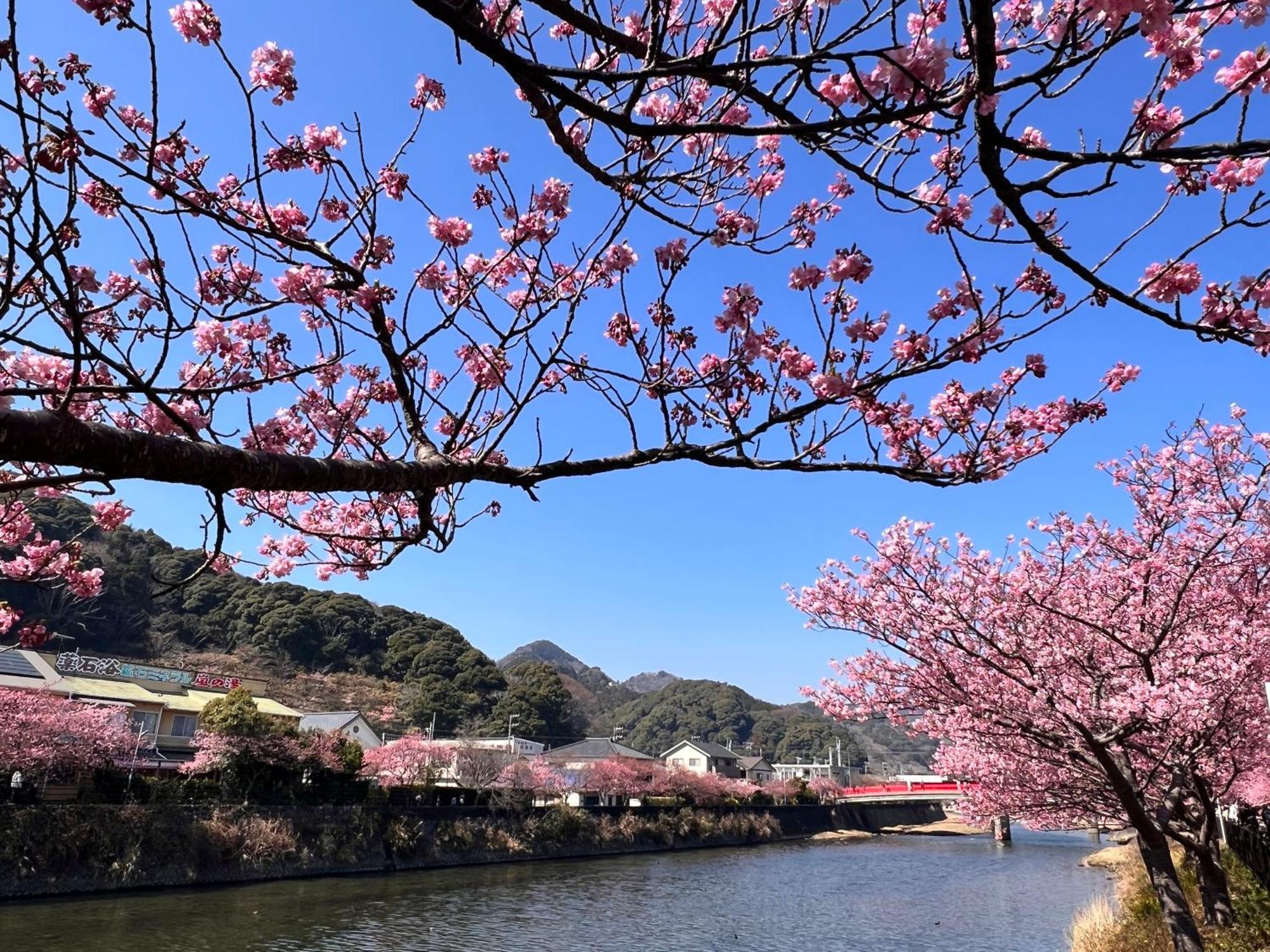 Tiny Base The River House & Trailer Kawazu Esterno foto